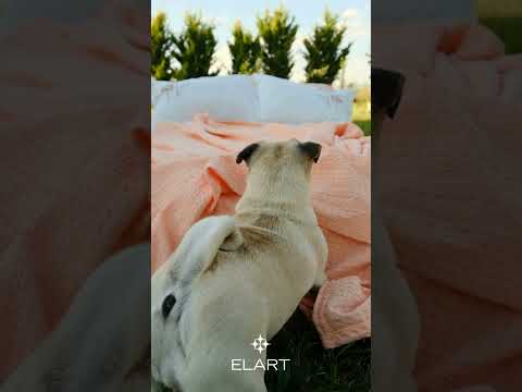 ELART Norella Yatak Seti 6 Parça Tarçın